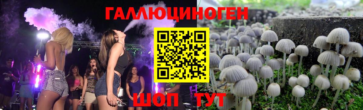 Псилоцибиновые грибы Cubensis  Псилоцибиновые грибы Cubensis  дарнет шоп  Россошь  Вход с VPN 